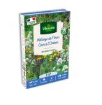 Mélanges de fleurs - Coin ombre - 7 m² - Mélange de fleurs - face recto